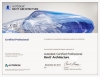 Autodesk Certified Professional Certificate